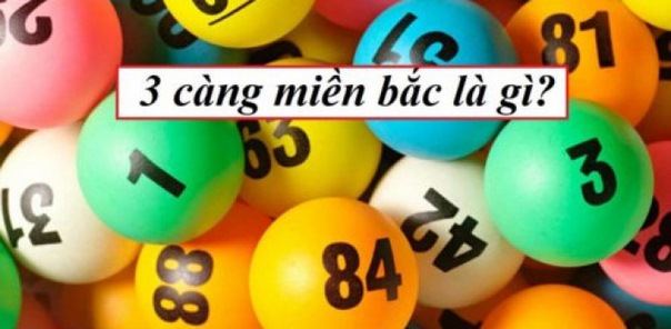 3 càng miền bắc là gì?